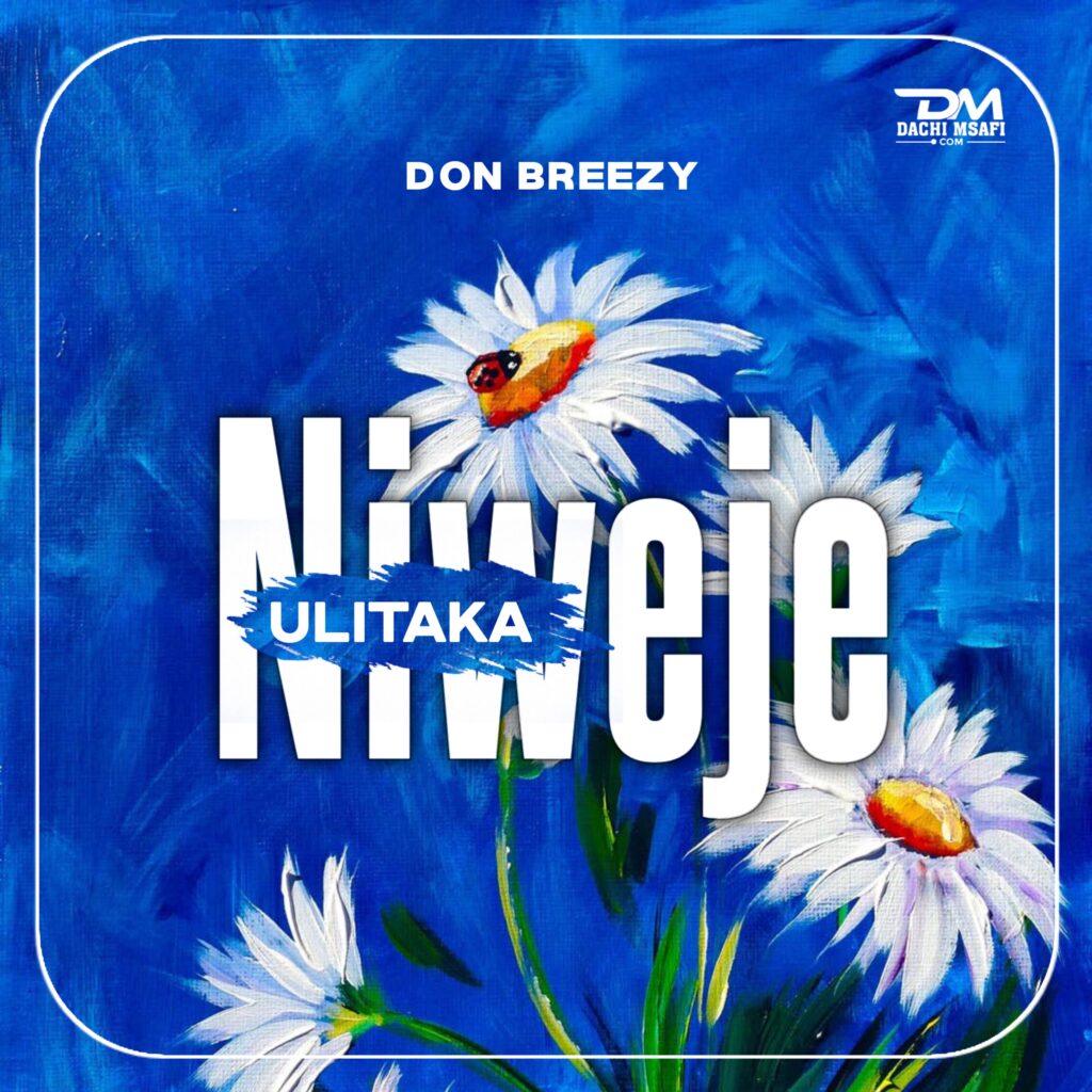 AUDIO | Don Breezy – Ulitaka Niweje (Singeli Mpya) | Download Mp3