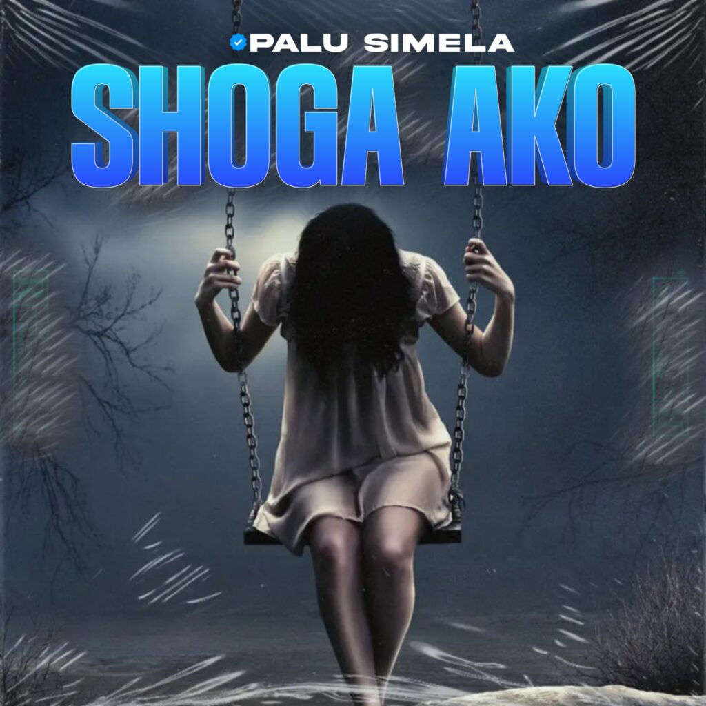 AUDIO | Palu Simela – SHOGA AKO (Singeli Mpya) | Download Mp3