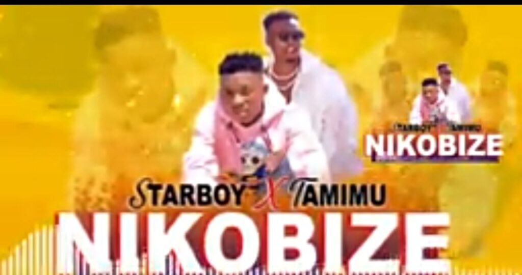 AUDIO | Star Boy Ft. Tamimu – Niko Bize | Download Mp3