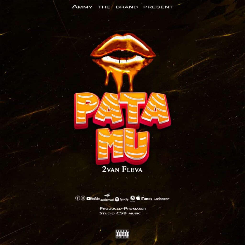 AUDIO | 2 Van Fleva – Patamu | Download Mp3