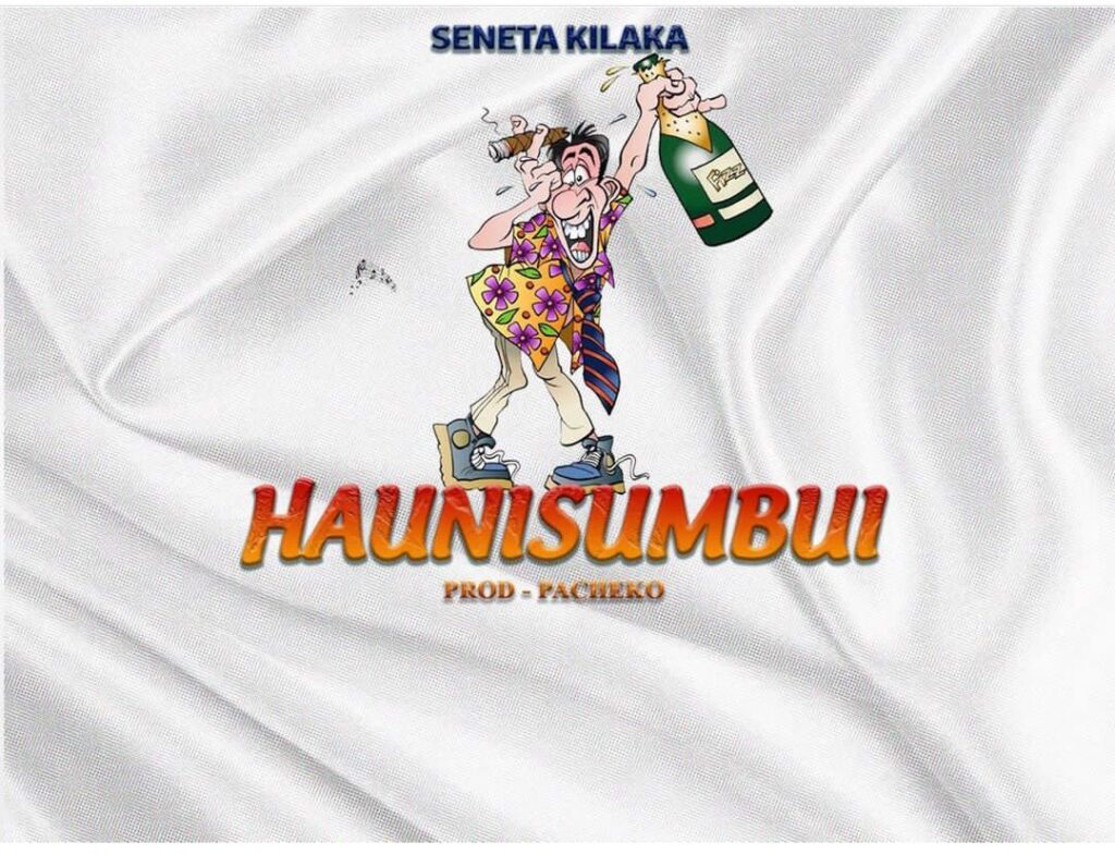 AUDIO | Seneta Kilaka – HAUNISUMBUI | Download Mp3