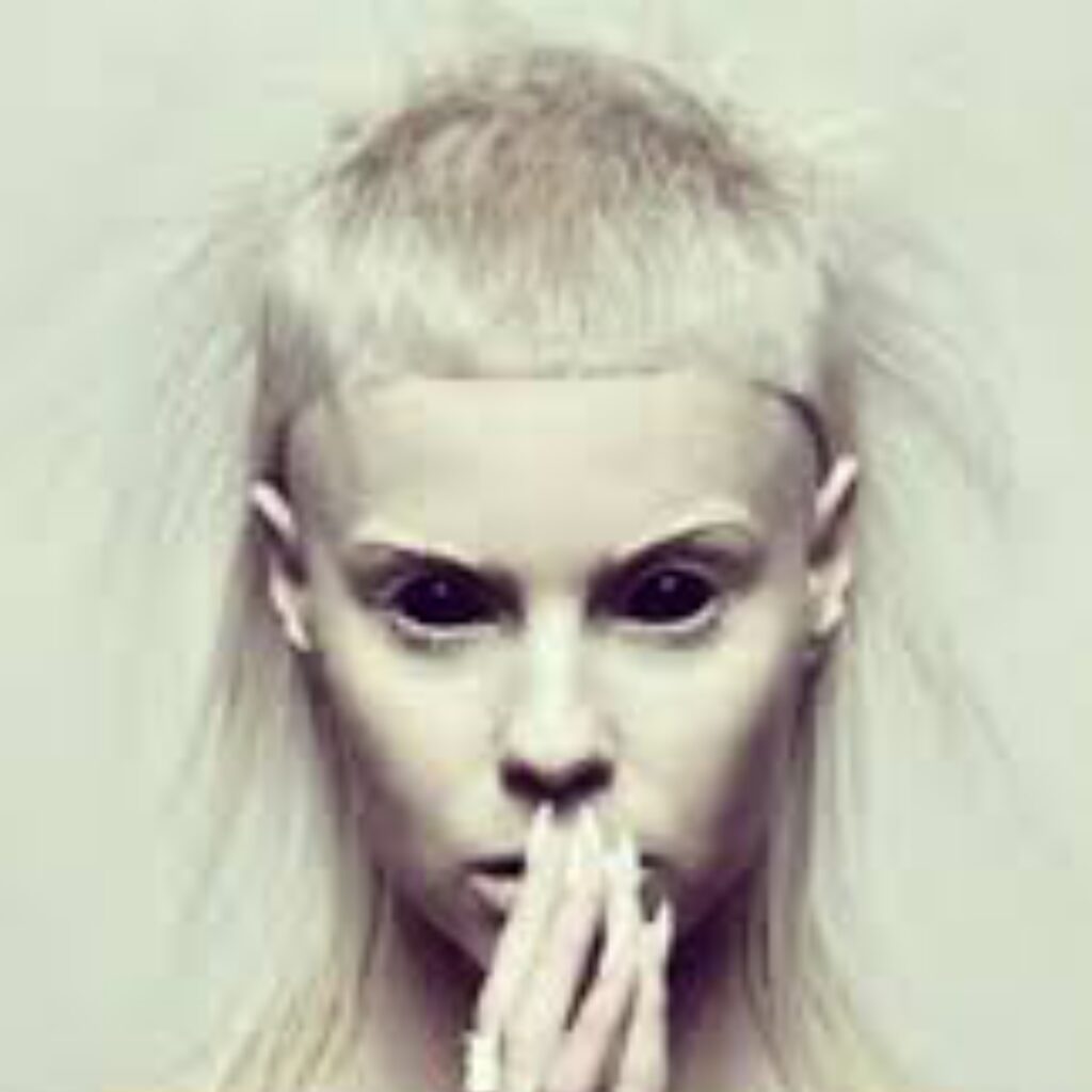 Die Antwoord