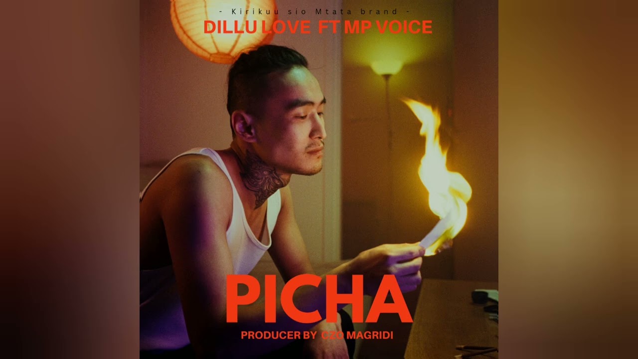 Dillu Love Ft Mp Voice – Picha