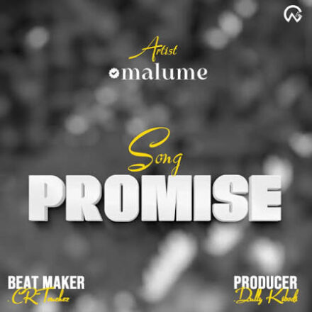 AUDIO | Malume – Promise | Mp3 Download