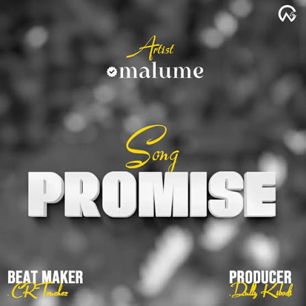 AUDIO | Malume – Promise | Mp3 Download