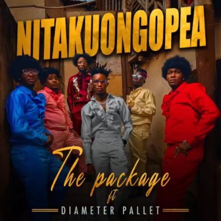 AUDIO | Diameter Pallet X The Package – Nitakuongopea | Download