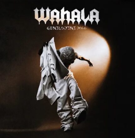AUDIO | GeniusJini x66 – Wahala | Mp3 Download