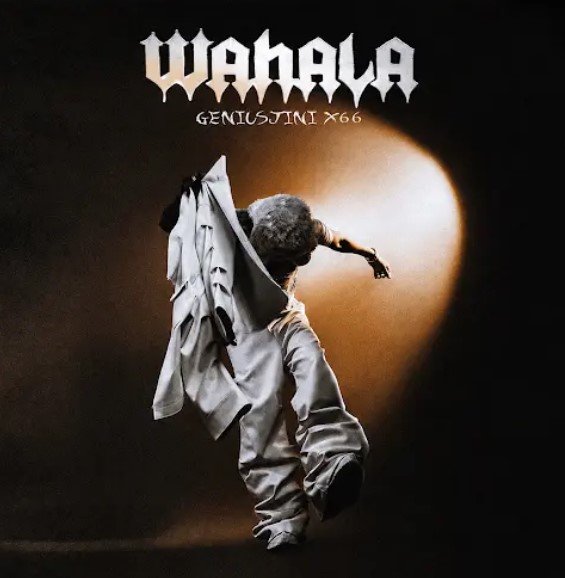 AUDIO | GeniusJini x66 – Wahala | Mp3 Download