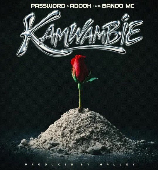 AUDIO | Password Ft Bando Mc & Adooh – Kamwambie | Download