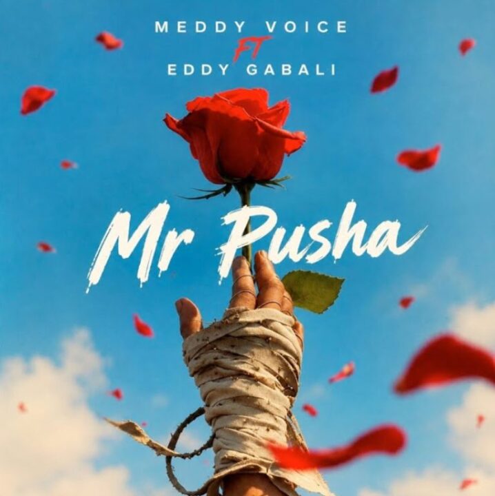 AUDIO | Meddy Voice Ft Eddy Gabali – Mr Pusha | Download
