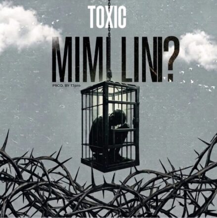 AUDIO | Toxic – Mimi Lini | Mp3 Download