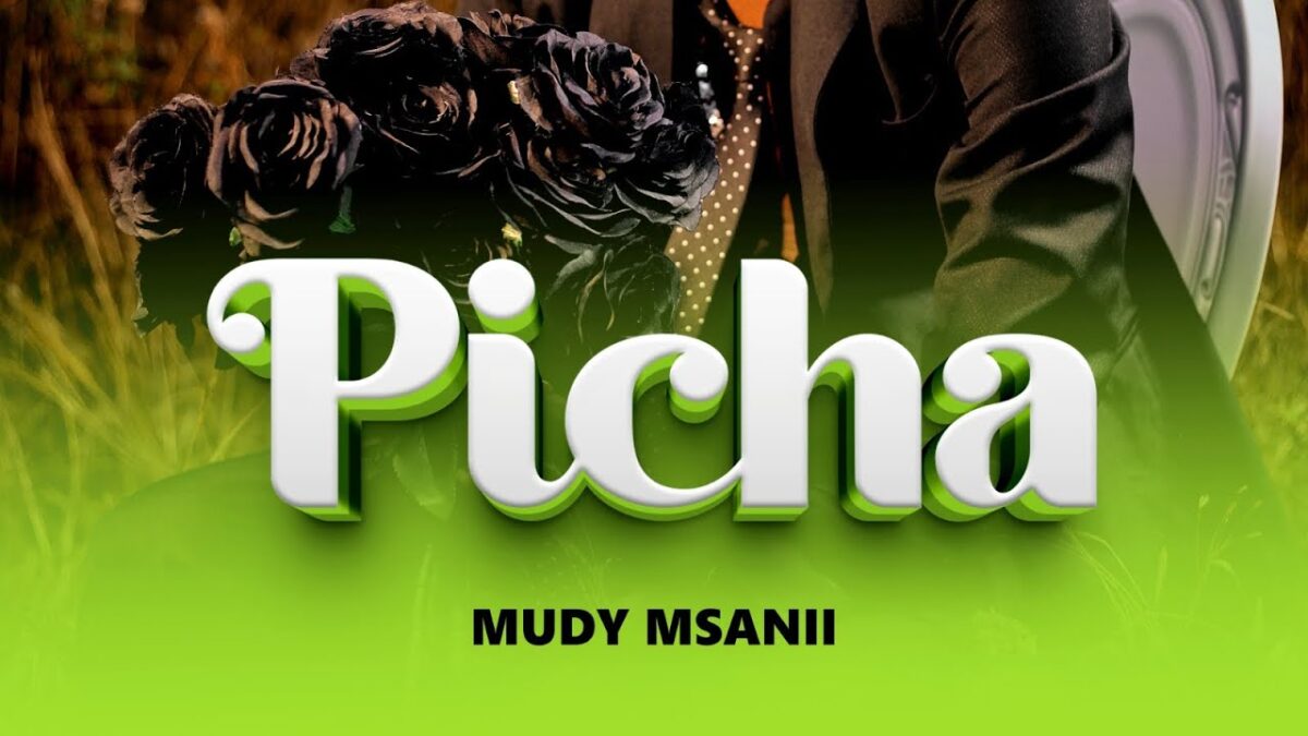 AUDIO | Mudy Msanii – Picha | Mp3 Download