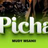 AUDIO | Mudy Msanii – Picha | Mp3 Download