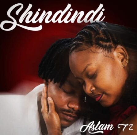 AUDIO | Aslam Tz – Shindindi | Mp3 Download