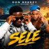 AUDIO | Don Breezy Ft Makesi Mc – Sele | Mp3 Download