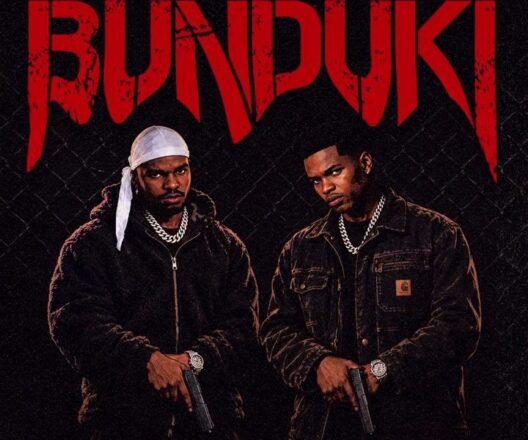 AUDIO | Vanillah Ft Malume – Bunduki | Mp3 Download
