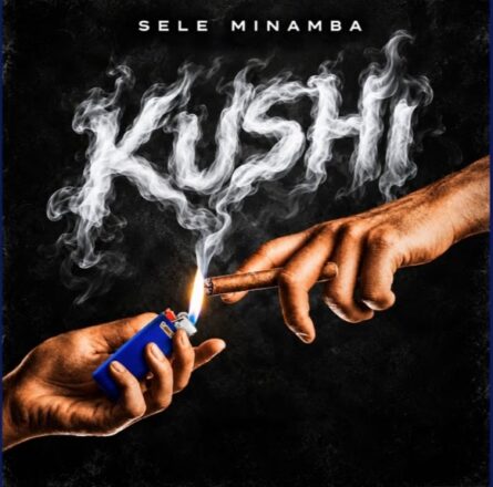 AUDIO | Sele Minamba – Kushi | Mp3 Download