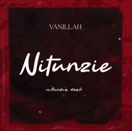 AUDIO | Vanillah – Nitunzie | Mp3 Download
